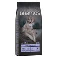 Briantos Sparpaket (2 x Großgebinde)3