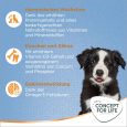 Concept for Life Medium Puppy & Junior3