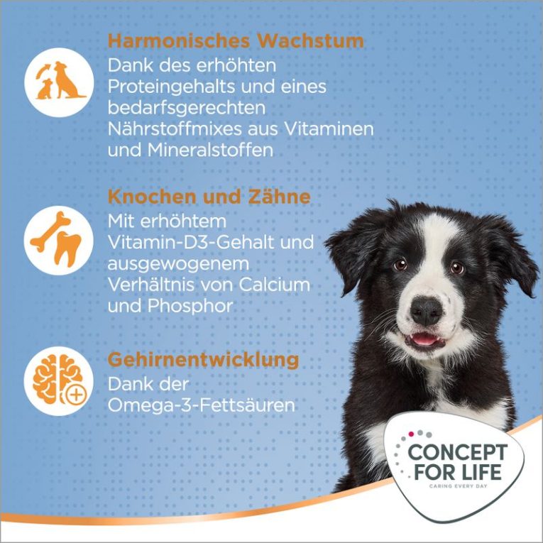 Concept for Life Medium Puppy & Junior3