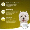 Concept for Life Mini Adult2