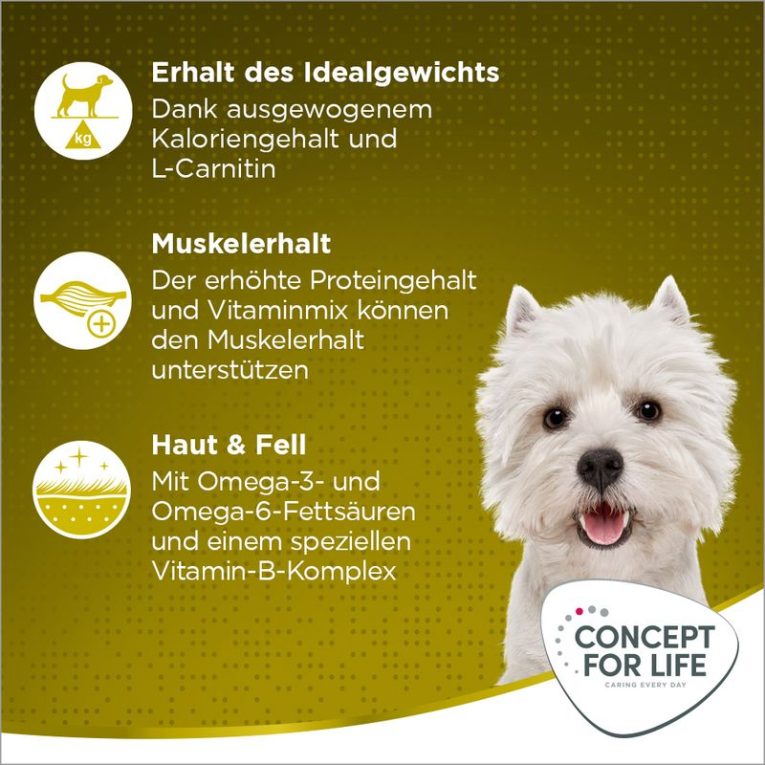 Concept for Life Mini Adult2
