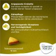 Concept for Life Mini Adult3