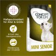 Concept for Life Mini Senior1