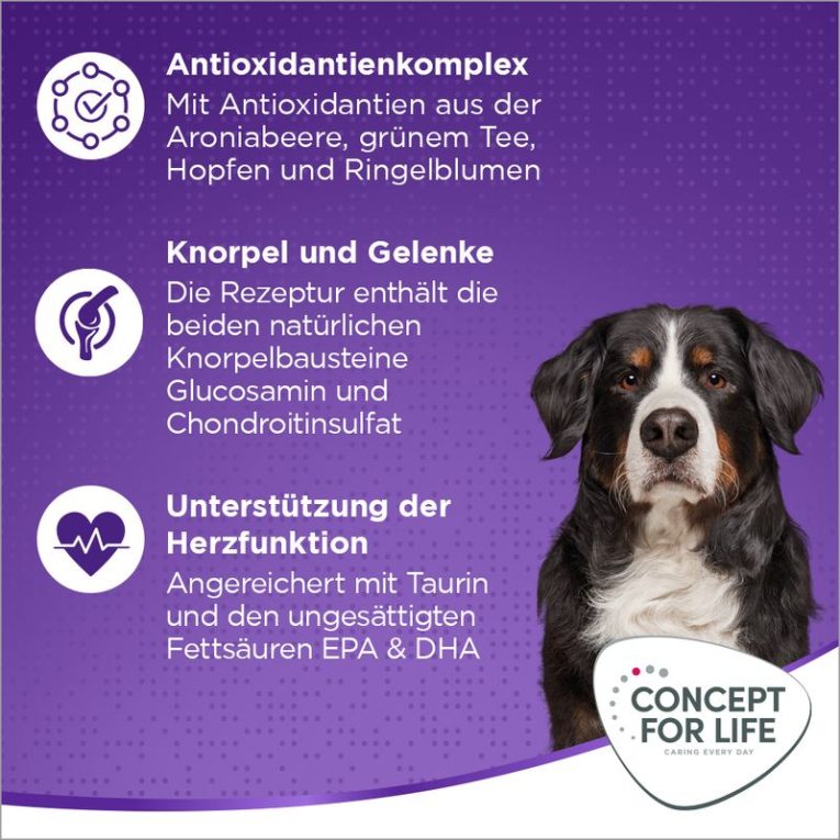 Concept for Life X-Large Adult2