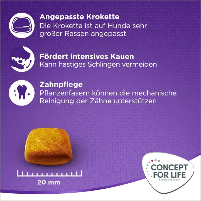 Concept for Life X-Large Adult3