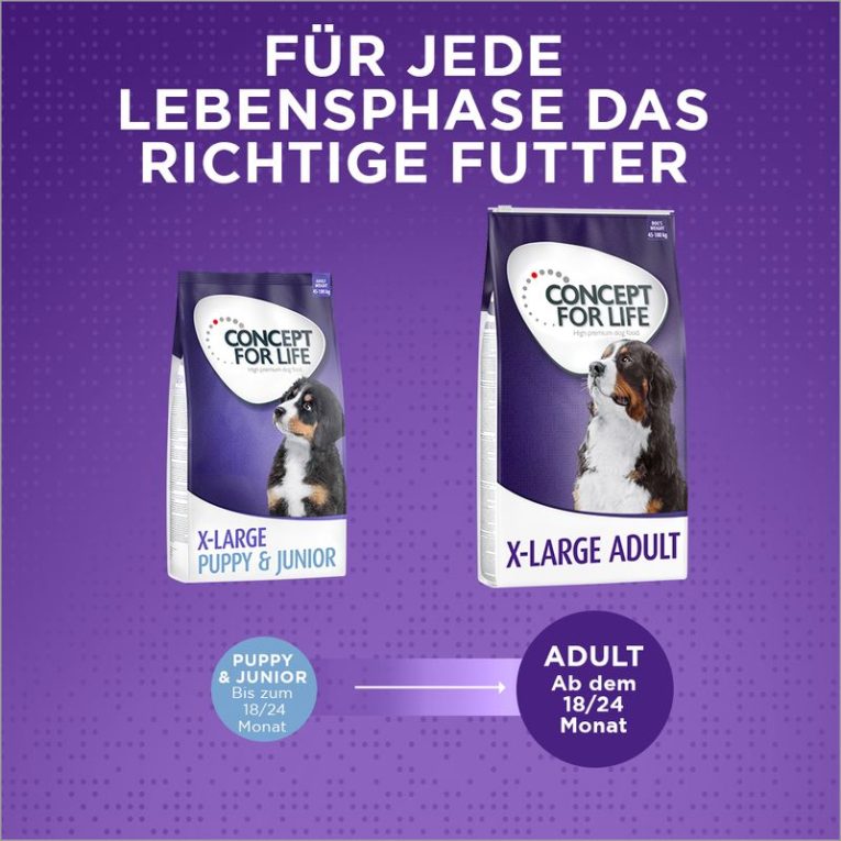 Concept for Life X-Large Adult7