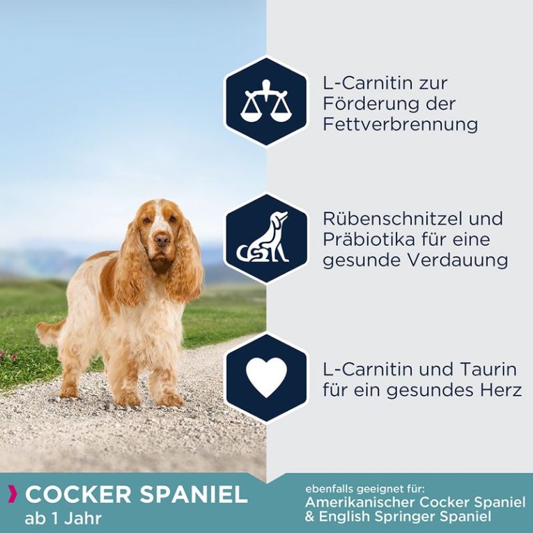 Eukanuba Adult Breed Specific Cocker Spaniel1