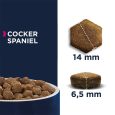 Eukanuba Adult Breed Specific Cocker Spaniel2