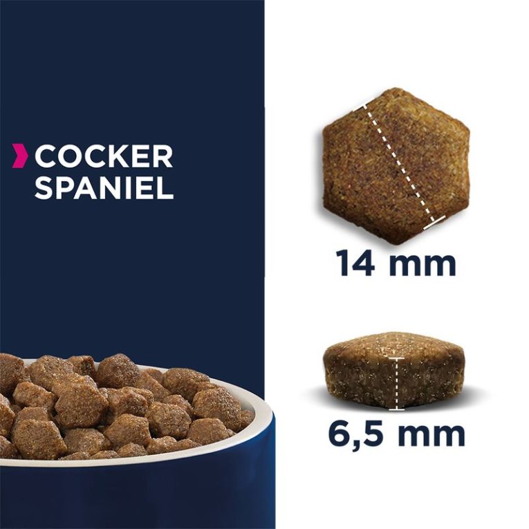 Eukanuba Adult Breed Specific Cocker Spaniel2