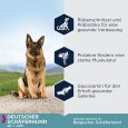 Eukanuba Adult Breed Specific German Shepherd1