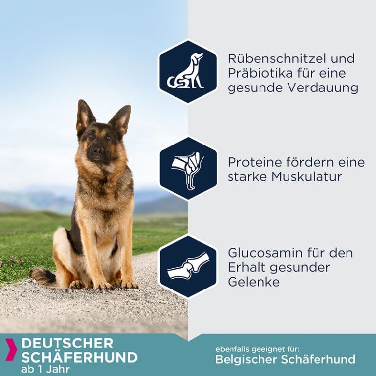 Eukanuba Adult Breed Specific German Shepherd1