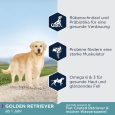 Eukanuba Adult Breed Specific Golden Retriever1