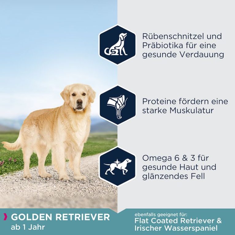 Eukanuba Adult Breed Specific Golden Retriever1