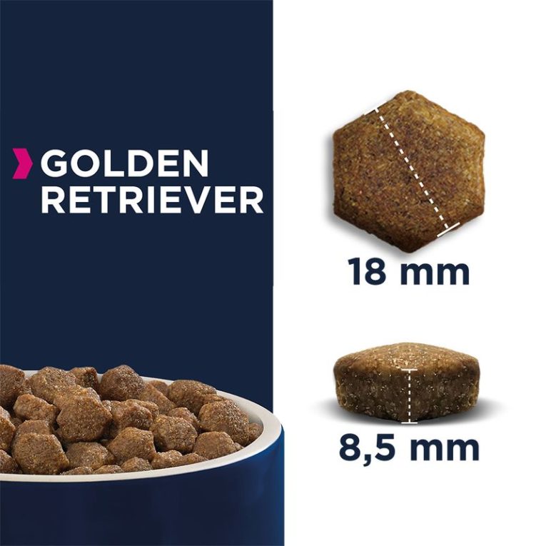 Eukanuba Adult Breed Specific Golden Retriever2