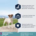 Eukanuba Adult Breed Specific Jack Russell Terrier1