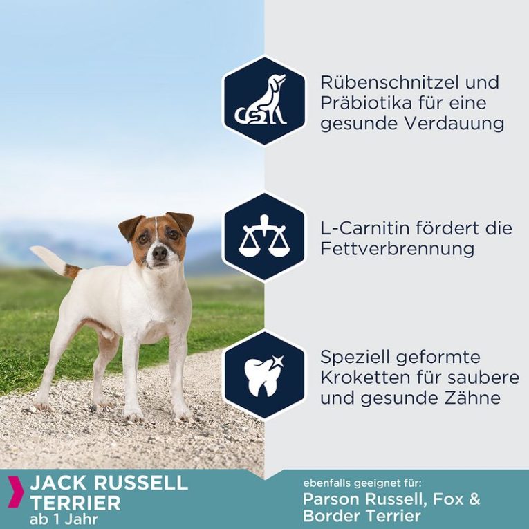 Eukanuba Adult Breed Specific Jack Russell Terrier1
