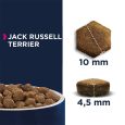 Eukanuba Adult Breed Specific Jack Russell Terrier3