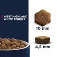 Eukanuba Adult Breed Specific West Highland White Terrier2
