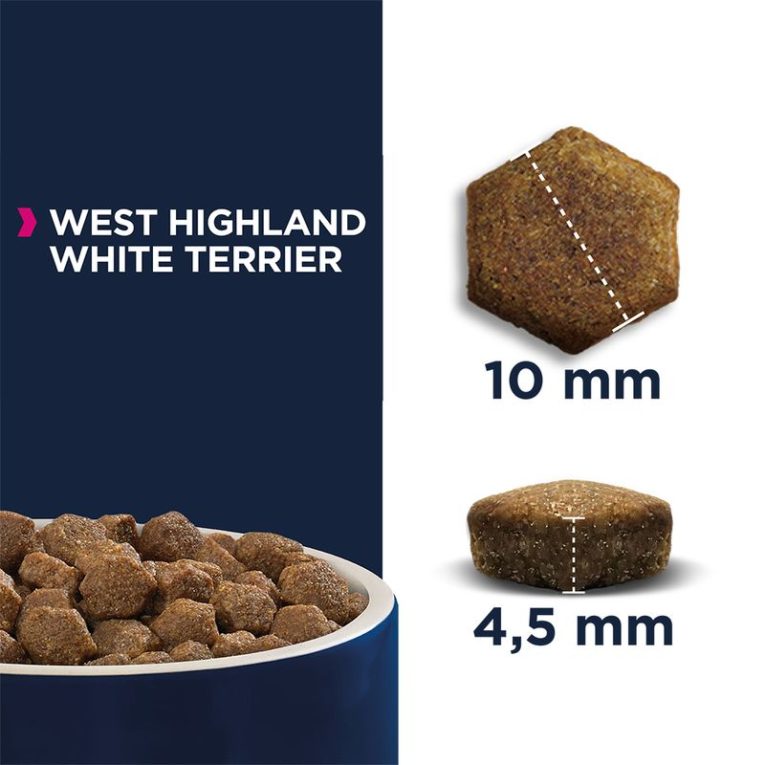Eukanuba Adult Breed Specific West Highland White Terrier2