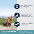 Eukanuba Adult Breed Specific Yorkshire Terrier1