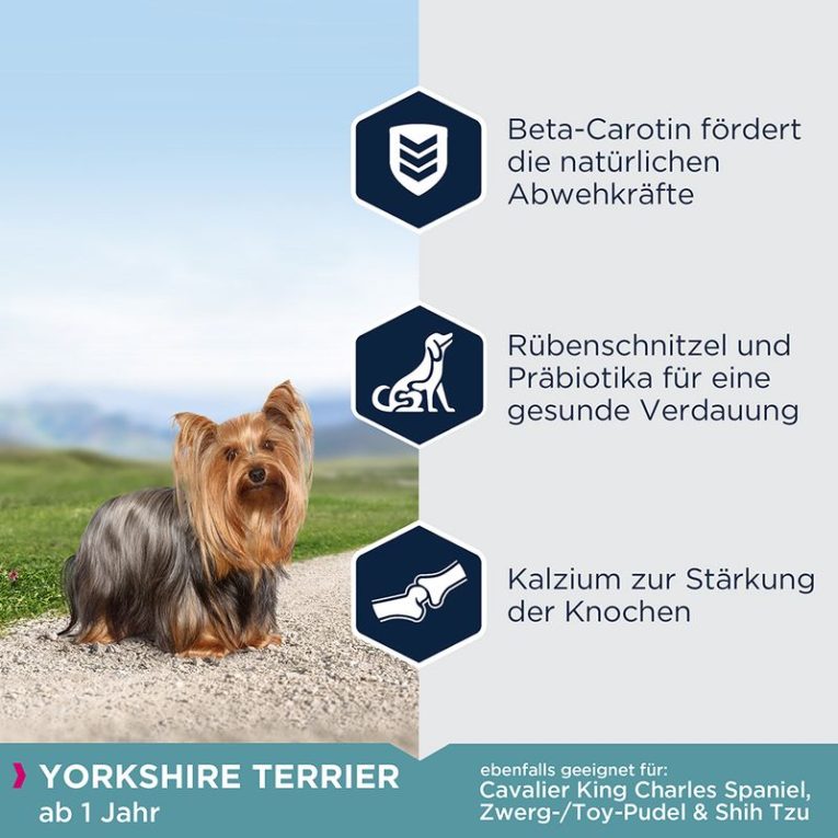 Eukanuba Adult Breed Specific Yorkshire Terrier1
