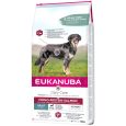 Eukanuba Adult Mono-Protein with Salmon1