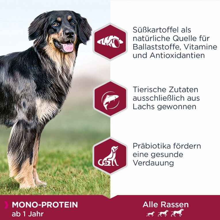 Eukanuba Adult Mono-Protein with Salmon2
