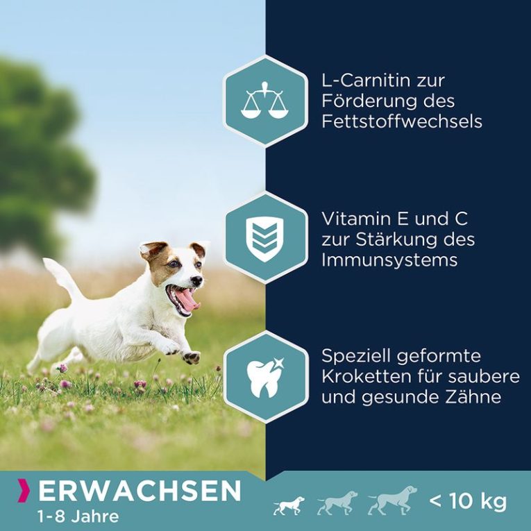 Eukanuba Adult Small Breed Chicken3