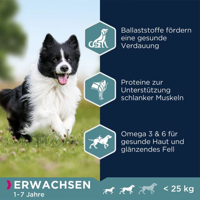Eukanuba Adult Small & Medium Breed Lamb & Rice3