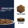 Eukanuba Adult Small & Medium Breed Lamb & Rice4