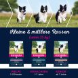 Eukanuba Adult Small & Medium Breed Lamb & Rice5