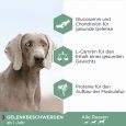 Eukanuba Daily Care Adult Sensitive Joints3