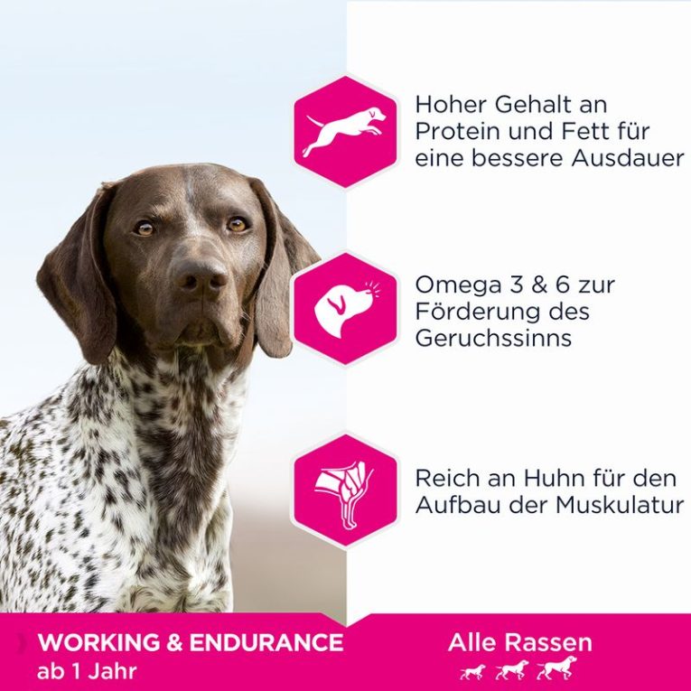 Eukanuba Daily Care Working & Endurance Adult Dog2