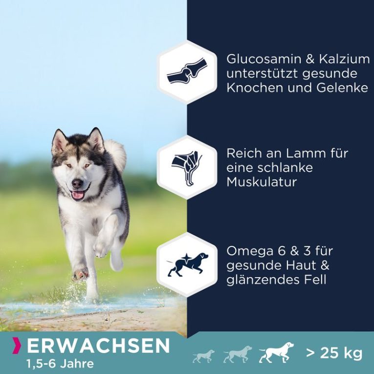 Eukanuba Grain Free Adult Large Dogs Lamb1