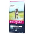Eukanuba Grain Free Adult Large Dogs with Salmon