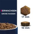 Eukanuba Grain Free Adult Large Dogs with Salmon3
