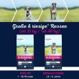 Eukanuba Grain Free Adult Large Dogs with Salmon5