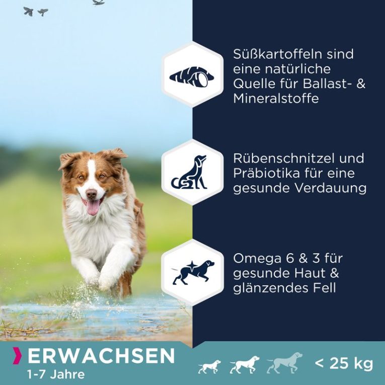 Eukanuba Grain Free Adult Small & Medium Breed Lamb1