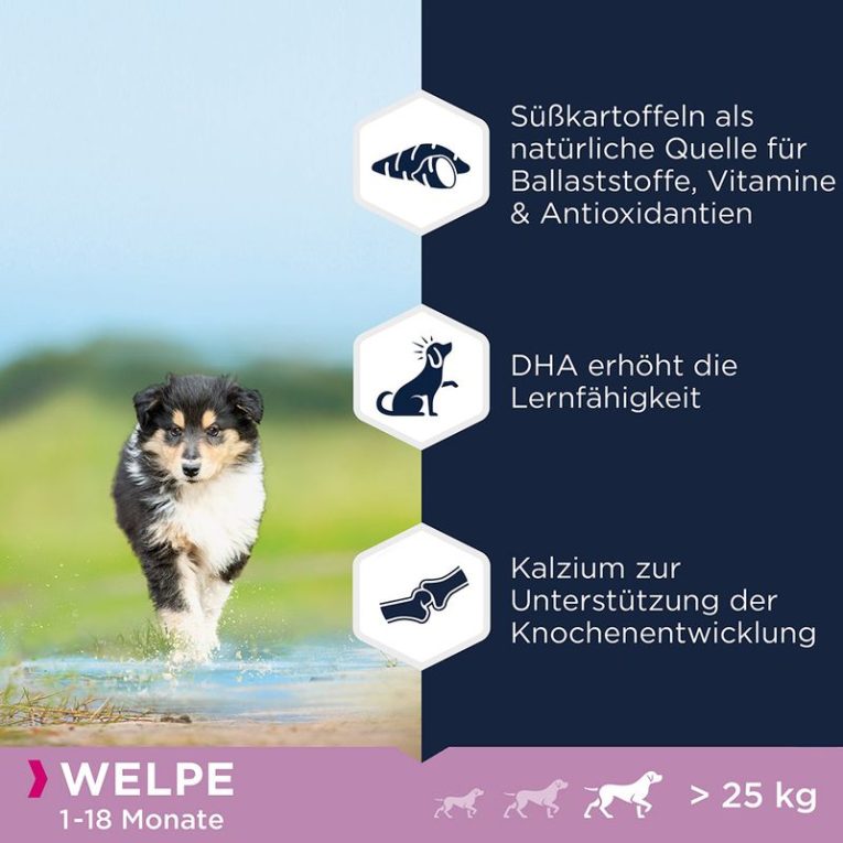 Eukanuba Grain Free Puppy Large Breed Chicken2