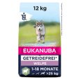 Eukanuba Grain Free Puppy Large Breed Lamb1