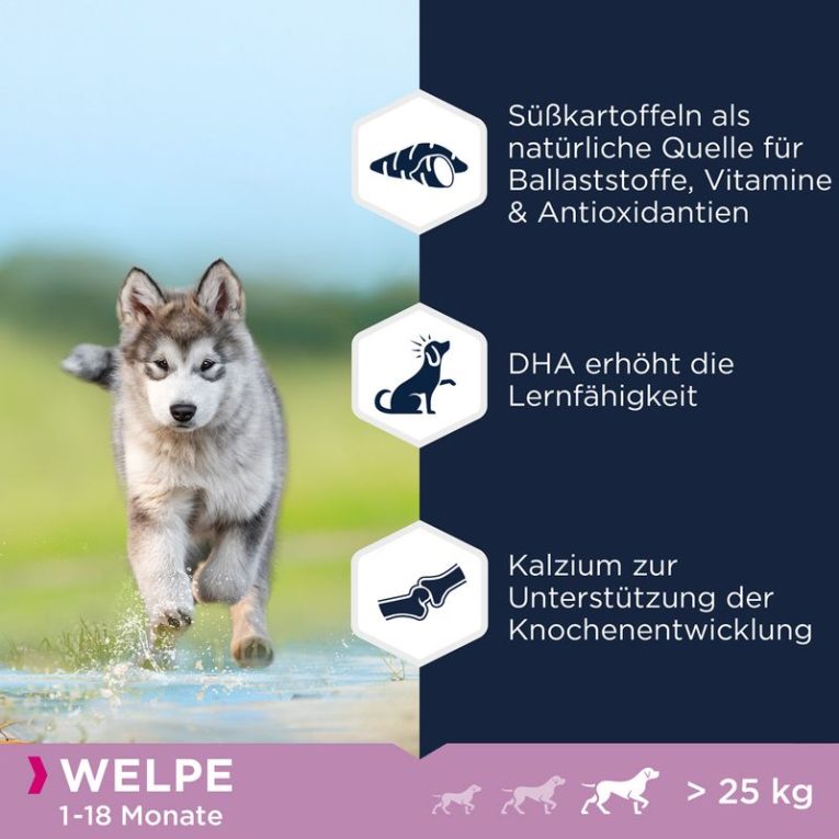 Eukanuba Grain Free Puppy Large Breed Lamb3