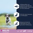 Eukanuba Grain Free Puppy Large Breed with Salmon1
