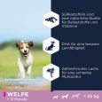 Eukanuba Grain Free Puppy Small-Medium Breed with Salmon1