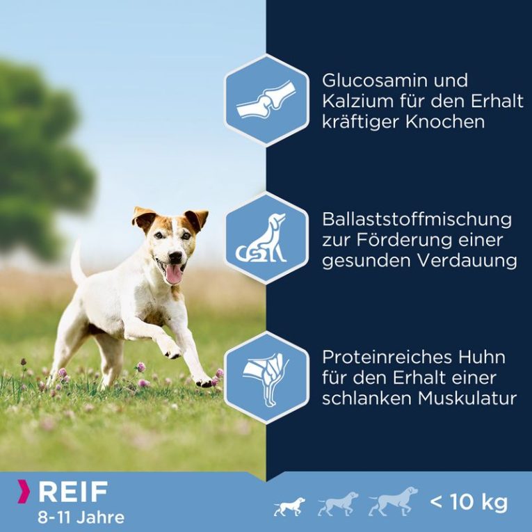 Eukanuba Mature Dog Small Breed Chicken2