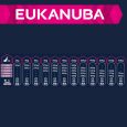 Eukanuba Puppy Large & Giant Breed Lamb & Rice2