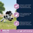 Eukanuba Puppy Medium Breed Chicken2