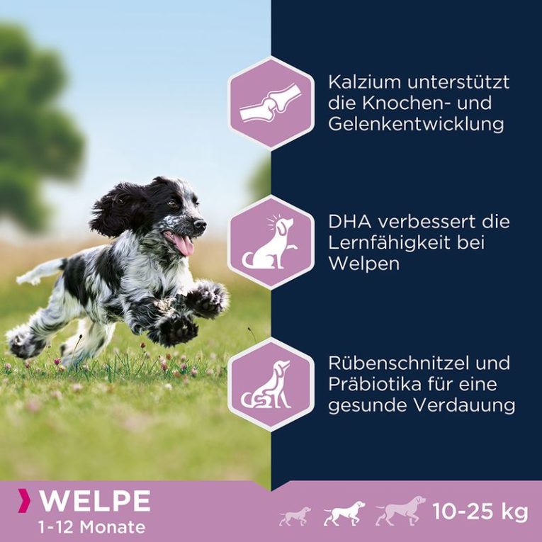 Eukanuba Puppy Medium Breed Chicken2
