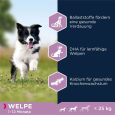 Eukanuba Puppy Small & Medium Breed Lamb & Rice1