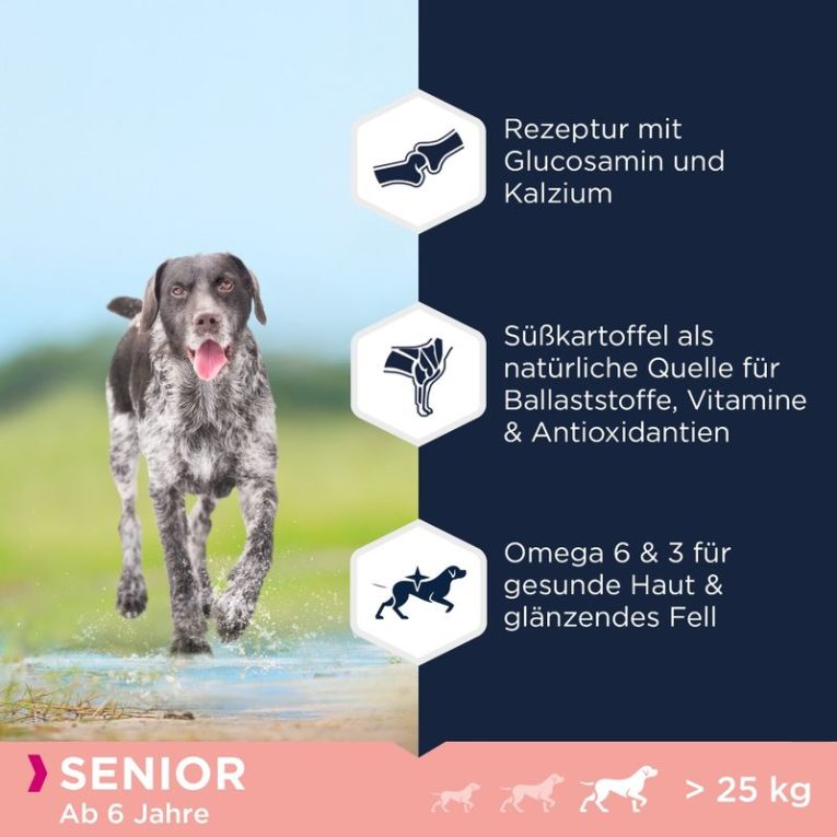 Eukanuba Senior Large Breed Grain Free Sea Fish1