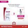 Eukanuba VETERINARY DIETS Adult Intestinal2